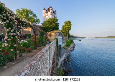 Eltville Castle Rheingau