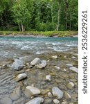 Elwha River. Close up of the stones and moving water.