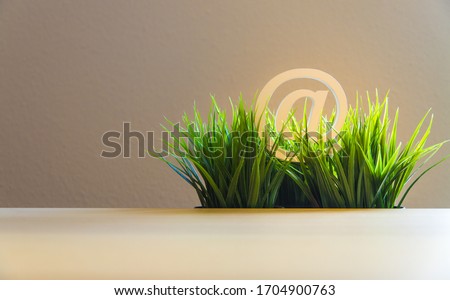 email at-sign in green grass, symbol for sustainable and environmental-friendly internet and technology, closeup with white wood atsign and negative space for labeling and text