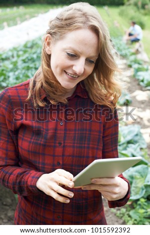 emale Agricultural Worker Using Digital Tablet In Field