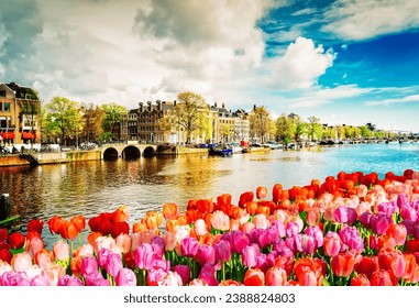 embankment of Amstel canal with spring tulips in Amsterdam, Netherlands, retro toned