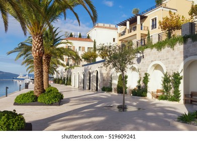 Embankment Of Tivat City In Autumn, Montenegro