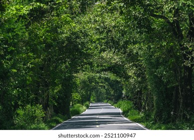 Embark on Scenic Journey, Driving Along an Highway Through Lush Green Forests and Rural Landscapes, Enjoying the Beauty Nature Mountains Under a Clear Summer Sky, Perfect for Travel and Exploration - Powered by Shutterstock