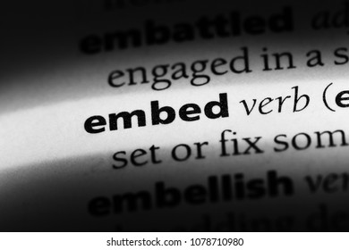 Embed Word In A Dictionary. Embed Concept