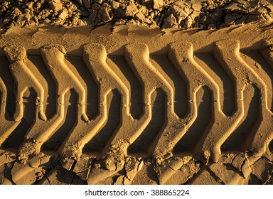 Embossed Trail Excavator Tracks On The Wet Sand. 