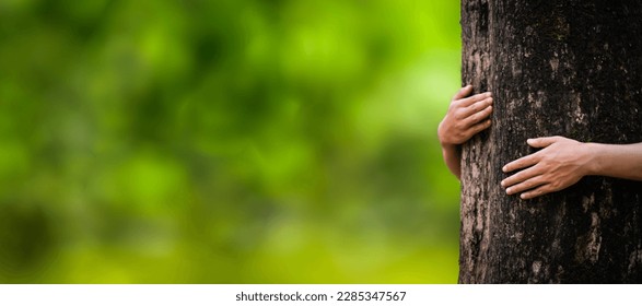 Embrace the big tree green forest in the rainy season nature conservation concept protect the environment Protection from deforestation or climate change, people hugging trees. - Shutterstock ID 2285347567