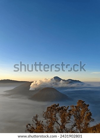 Top of green mountain