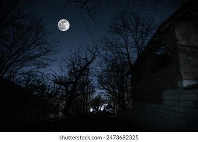 Embrace the eerie ambiance of a moonlit night as an ancient, haunted mansion emerges from the dense, mist-covered forest, surrounded by the whispers of the dead trees - Powered by Shutterstock