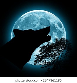 In the embrace of the night, the wolf finds solace beneath the guardian moon
Can be used for quotes graphics and more 