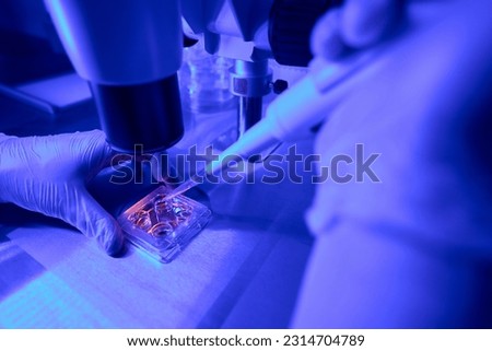 Embriologist putting sperm sample to examine under microscope