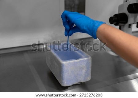 Embryologist in blue gloves using liquid nitrogen for cryopreservation of embryos and eggs in IVF lab, vitrification process in fertility clinic for assisted reproductive technology and pregnancy.