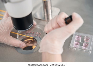 Embryologist places the embryos in a special straw for vitrification