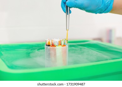 Embryos Frozen In Liquid Nitrogen For IVF Procedure Close Up