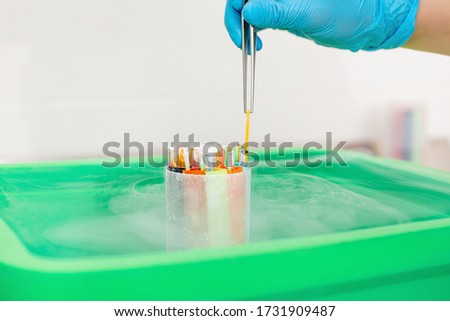 Embryos frozen in liquid nitrogen for IVF procedure close up
