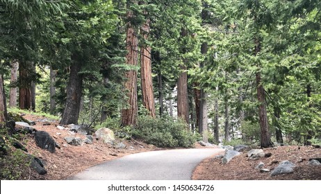 Emerald Bay Trail In South Lake Tahoe