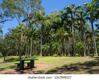 Emerald Botanic Garden , Queensland, Australia.