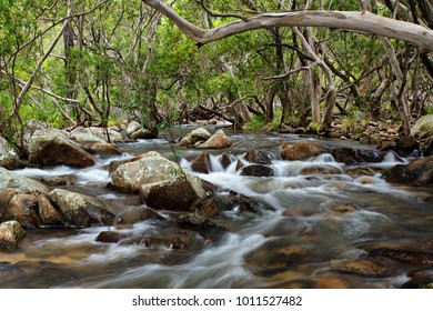 Emerald Creek, Atherton Tablelands, Queensland, Australia