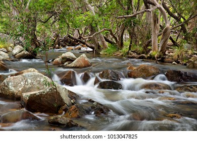 Emerald Creek, Atherton Tablelands, Queensland, Australia