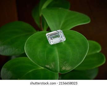 Emerald Cut Lab Grown Ethical Diamond on Green Leaf Background. Man Made Diamond Photograph of Loose Stone. 