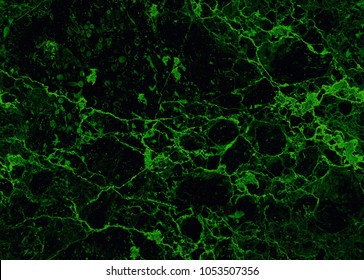 Emerald Green Natural Seamless Marble Granite Stone Texture Pattern Background. Stone Seamless Marble Texture Surface With Cracks Neon Light Glow Effect. Artistic Design Green Malachite Style Backdrop