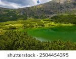 Emerald Green Pics from Cindrel National Park, Romania