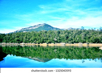 Emerald Lake At Ooty