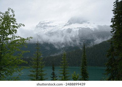 emerald lake the rocky mountain canada - Powered by Shutterstock