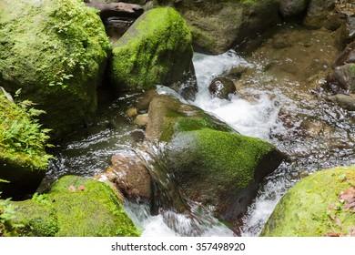 Emerald Pool, Dominica