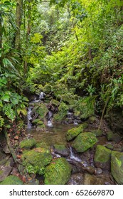 Emerald Pool, Dominica