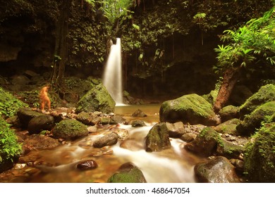 Emerald Pool, Dominica Island