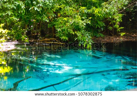 Similar – Pool with jungle