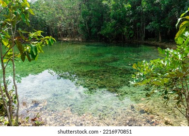 Emerald Pool Lagoon Near Krabi Town