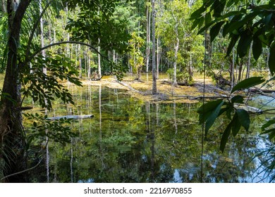 Emerald Pool Lagoon Near Krabi Town