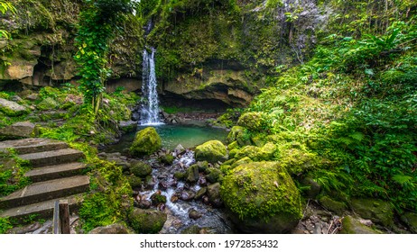 Emerald Pool On Dominica, Carribean