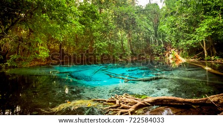 Emerald Pool or Tha Pom Klong Song Nam at Krabi Province, Thailand. Amazing crystal clear emerald canal with mangrove forest. Beautiful nature landscape. Travel, holidays, recreation concept