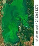 Emerald Swirls of Algae in Lake Winnipeg. An influx of nutrients in recent decades has contributed to the proliferation of algae in the large. Elements of this image furnished by NASA.