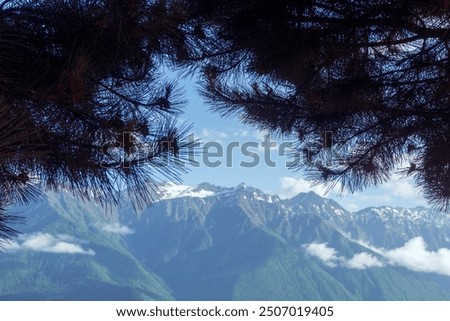 Similar – Foto Bild Vulano Lanin Patagonien Argentinien