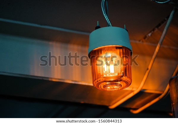 emergency light in the building/ emergency\
light/Siren light