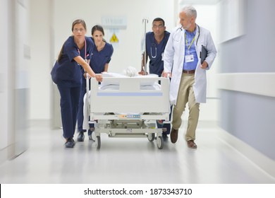 Emergency Medical Team Wheeling a Patient Along the Hospital Corridor - Shutterstock ID 1873343710