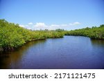 Emerson Point Preserve: The Manatee River meets the Tampa Bay 