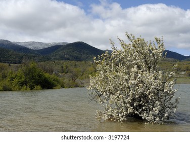 Emigrant Lake