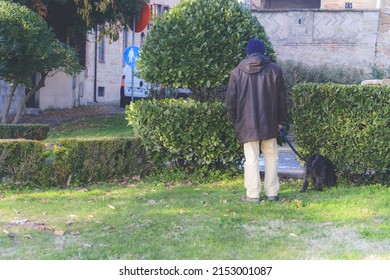 EMILIA ROMAGNA, ITALY - Dec 23, 2021: A Back View Of A Senior Caucasian Man Having A Walk In The Garden With His Black Terrier Dog