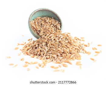 Emmer Organic Wheat Berries Spilling out of Green Pottery Bowl and Scattering Isolated on White