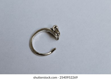 Emo or gothic silver ring isolated on a white background 