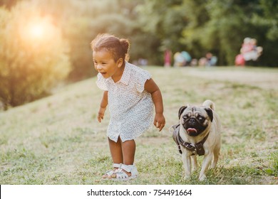 Emotion Laughing Full Body Portrait Of Hispanic Toddler Girl Two Years Old With Her Pug Dog Walking On The Grass In Summer Time In Sunset.