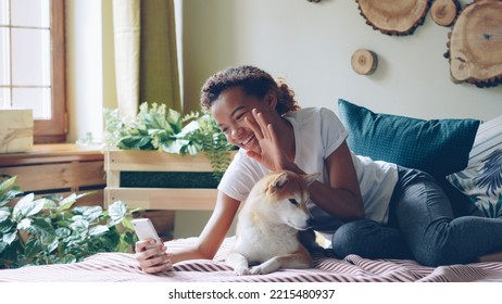 Emotional African American Girl Is Talking On Mobile Phone Making Video Call Smiling And Chatting Looking At Screen With Obedient Pedigree Dog Lying On Bed At Home Beside Her.