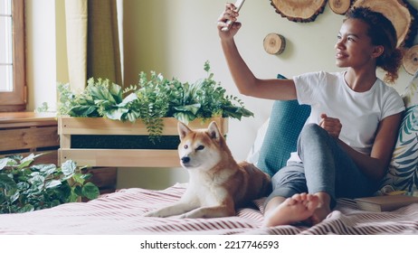 Emotional African American Girl Is Talking On Mobile Phone Making Video Call Smiling And Chatting Looking At Screen With Obedient Pedigree Dog Lying On Bed At Home Beside Her.