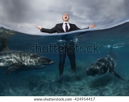An emotional businessman staying in dangerous ocean water surrounded by sharks and screaming. Great white sharks underwater in shallow. Business suit in competitive conceptual image