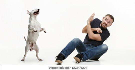 Emotional Portrait Of Scared Man And His Dog, Concept Of Friendship And Care Of Man And Animal. Bull Terrier Type Dog On White Studio Background