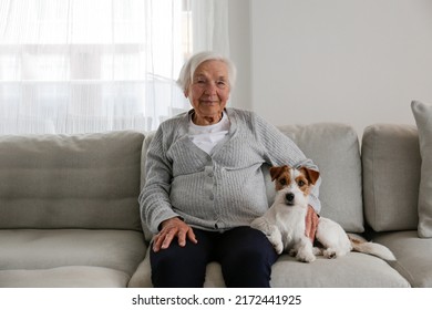 Emotional support animal concept. Portrait of elderly woman with wire haired jack russell terrier dog. Old lady and her rough coated pup sitting on grey textile sofa. Close up, copy space, background. - Powered by Shutterstock